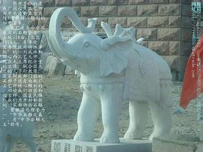 石雕象汉白玉石象,石雕大象,盛世有象等各种造型石雕大象,石雕动物