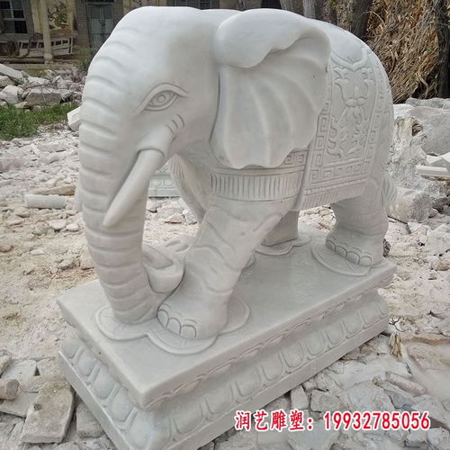 草坪石雕大象 广安大象石雕雕塑制作厂